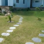 Slate-stepping-stone-Yanchep