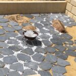 blustone-stepping-stone